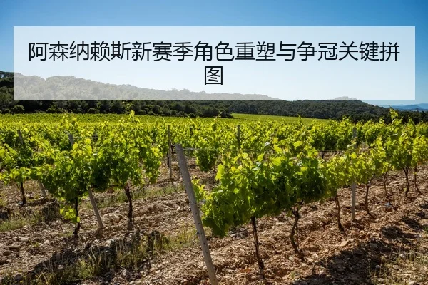a-sen-na-lai-si-xin-sai-ji-jue-se-zhong-su-yu-zheng-guan-guan-jian-pin-tu-2-432.jpg