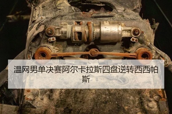 wen-wang-nan-dan-jue-sai-a-er-ka-la-si-si-pan-ni-zhuan-xi-xi-pa-si-3-908.jpg