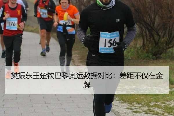 樊振东王楚钦巴黎奥运数据对比：差距不仅在金牌