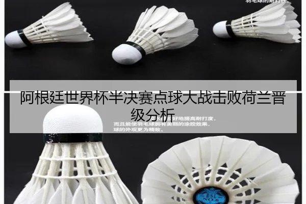 阿根廷世界杯半决赛点球大战击败荷兰晋级分析
